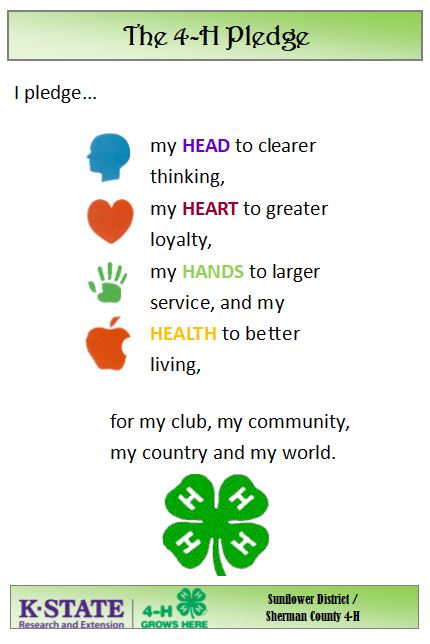 4-H Youth Development | Sunflower District